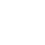 Christmas Light Installation