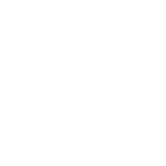 Christmas Light Rental